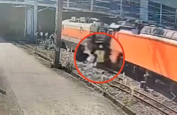 石城車站驚傳闖軌遭撞　台鐵列車大亂延誤逾3小時