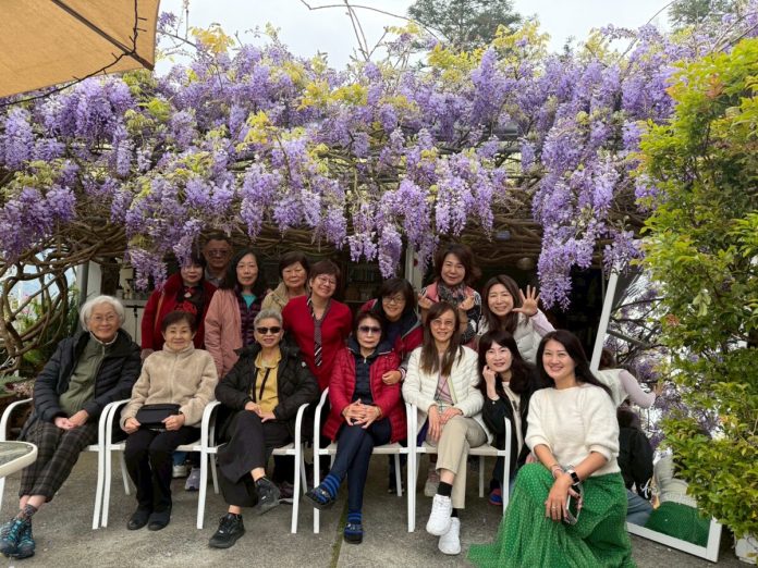 號稱最美紫藤花園民宿　到阿喜紫藤享受被花包圍的浪漫幸福