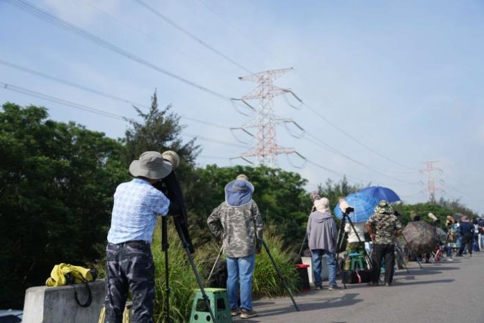 濁水溪驚見東方白鸛成功繁殖　雲林邁向生態復育新里程