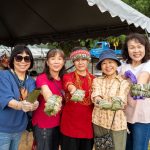 百人齊包紅藜粽!金峰紅藜季打造最具溫度的食農文化體驗 百人齊包紅藜粽!金峰紅藜季打造最具溫度的食農文化體驗