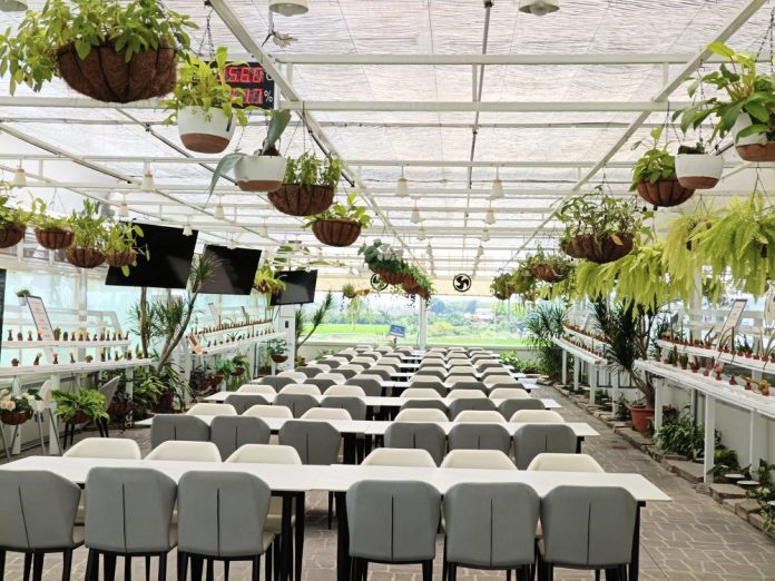 可可莊園變身閱讀殿堂　土庫首創午後書席引爆朝聖潮