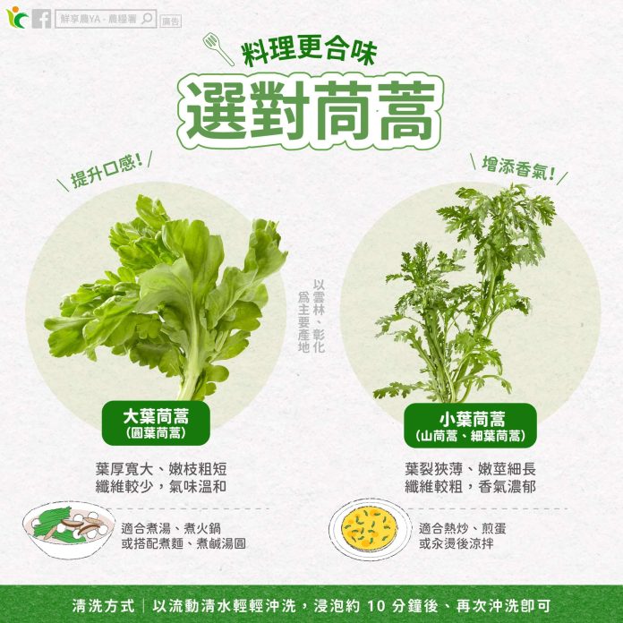 冬季火鍋怎麼煮最對味？這種茼蒿最適合當配料