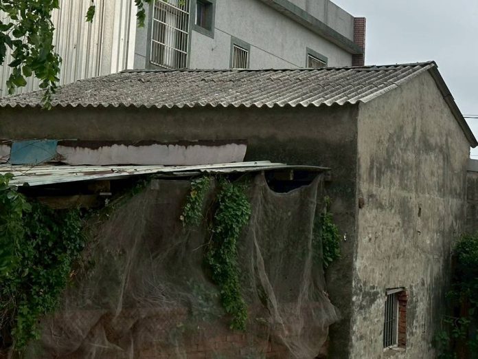 亂丟石綿恐挨罰千萬！桃園海資處即起受理「免費清運」申請