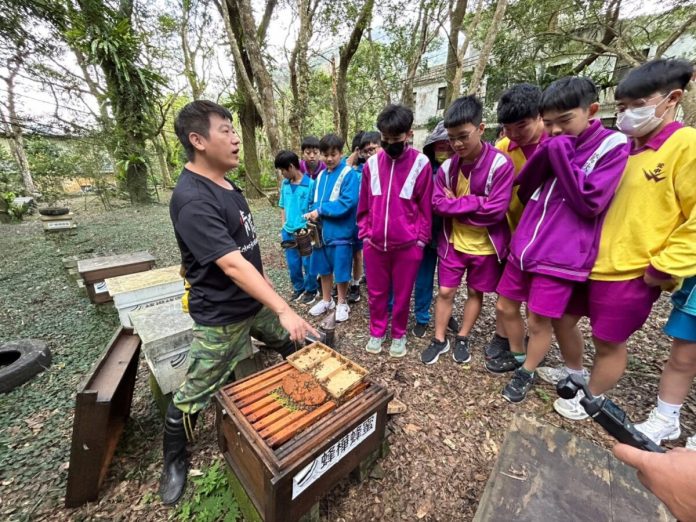 連假衝三峽解密蜂箱　青農帶路嚐蜜體驗爆紅