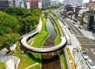 拆水泥、還綠地、小烏龜回來了!台北磺港溪「還地於河」全國第一完工 拆水泥、還綠地、小烏龜回來了!台北磺港溪「還地於河」全國第一完工