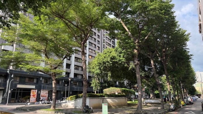 拋棄繼承等於讓孩子繼承？錯！專家警告：你以為的愛，可能讓子女一毛都拿不到