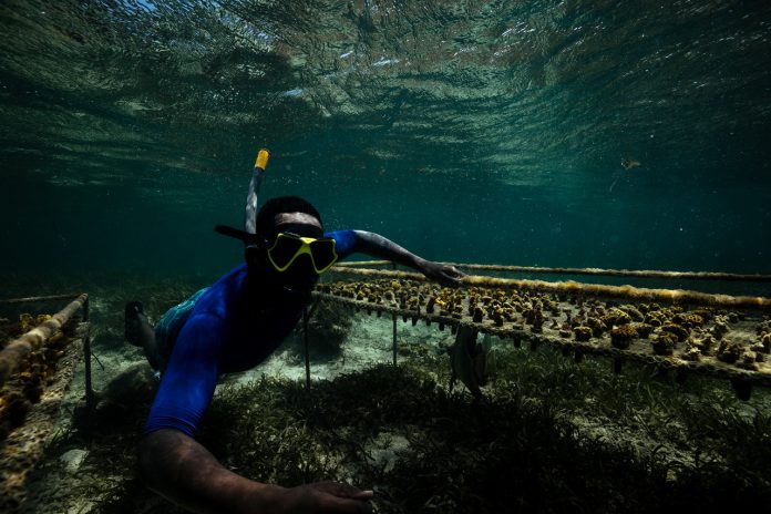 全球青年創新挑戰徵件開跑 海保署邀你一起用創意守護藍色家園