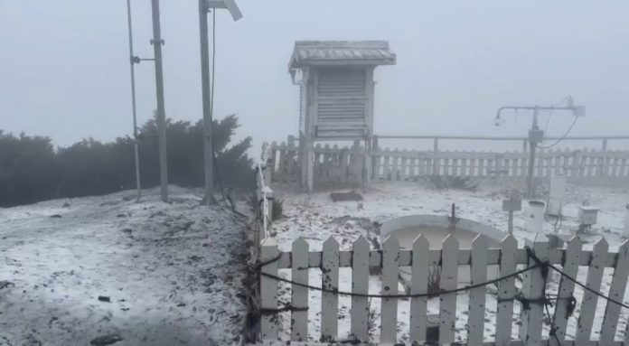 鋒面襲台玉山飄雪逾25分鐘　全台轉雨降溫留意強風雷擊