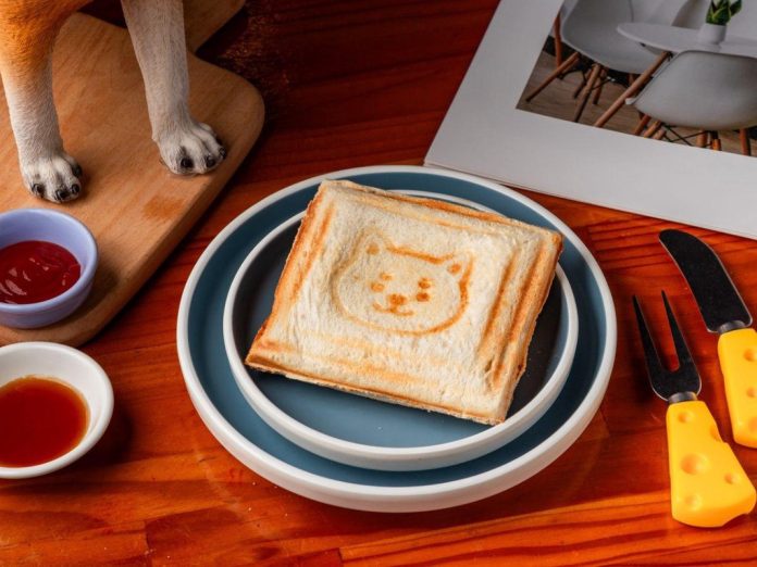 羅東寵物友善餐廳：柴犬陪吃早午餐 百元鮮食讓毛孩落地同樂