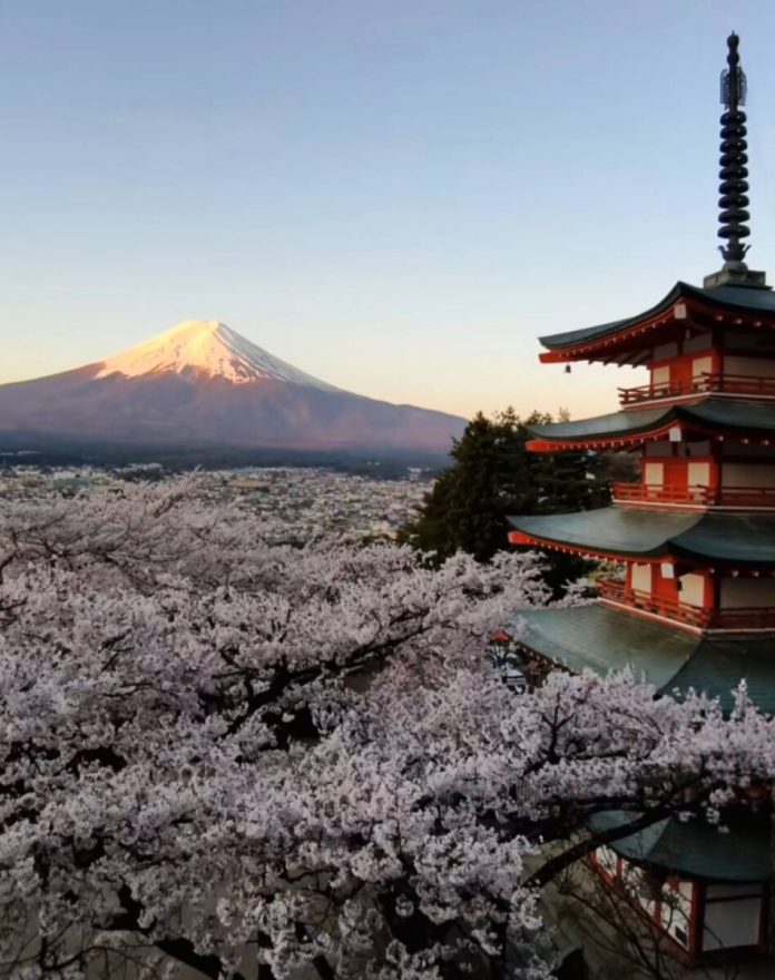 晚春東京的從容旅行學：當你不再追櫻，也不再為連線焦慮