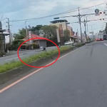 傻眼!大園小貨車駕駛恍神撞斷路燈 現場滿地碎片 傻眼!大園小貨車駕駛恍神撞斷路燈 現場滿地碎片