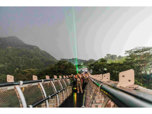 山川琉璃吊橋「深夜觀星」  流星劃過引民眾驚呼：最美的屏東記憶