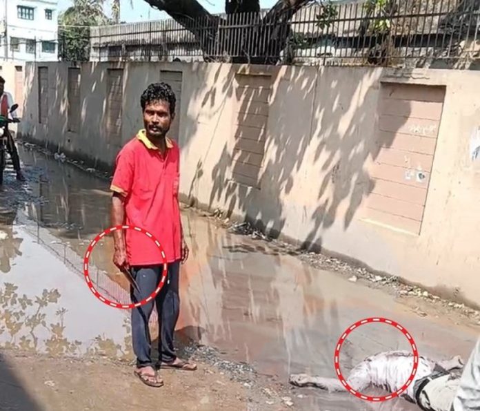 影／停車糾紛變命案！印度小販斬首司機「丟路中央炫耀」　遭憤怒群眾私刑打死