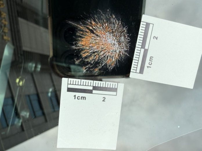 像極了「彈孔」！北市女愛車驚見不明放射痕　警出動刑事鑑識結果是…