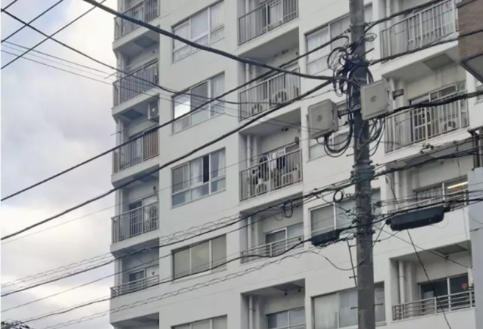 太子集團台灣核心幹部在日本成立遊戲公司　日媒揭露：恐為蒐集個資、招募工程師