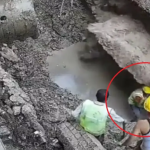 影/印度工安死亡意外!工人「坑洞內修管線」突道路坍塌 遭活埋影片瘋傳 影/印度工安死亡意外!工人「坑洞內修管線」突道路坍塌 遭活埋影片瘋傳