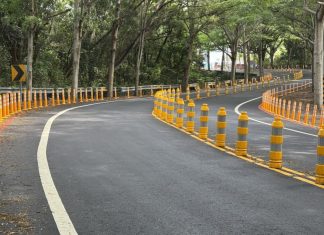 彰化139線(大彰路)密密麻麻防撞桿 引起民眾熱議「有必要嗎」 彰化139線(大彰路)密密麻麻防撞桿 引起民眾熱議「有必要嗎」