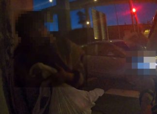 桃園男不熟路況誤闖國道1號!路肩漫步嚇壞駕駛 桃園男不熟路況誤闖國道1號!路肩漫步嚇壞駕駛