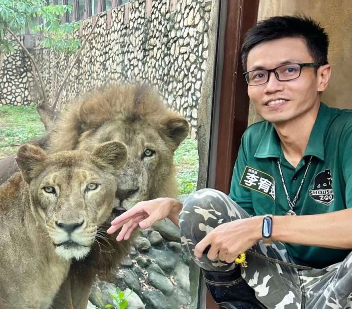 壽山動物園百歲獅王二哥離世  醫療團隊守護最後一程