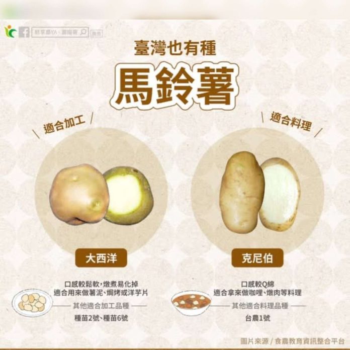馬鈴薯進入盛產期！農糧署曝挑選祕訣：這品種口感最Q綿