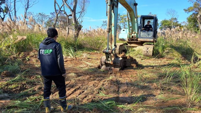 龍潭、楊梅1萬平方公尺土地遭破壞 不肖集團「假種樹真埋廢土」33人涉案