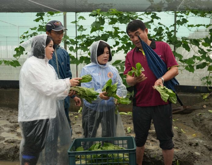 12小時雨量破250毫米！雲林葉菜損失逾七成　縣府加速查報農損