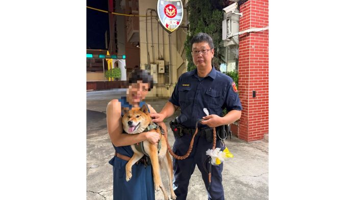 柴犬半夜開啟冒險模式   湖內警民合作助牠回家