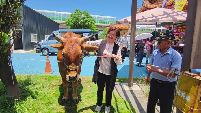 芳苑海牛文化節熱鬧登場　9隻海牛見證漁村傳統