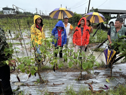 6月豪雨連連造成屏東農損 縣府爭取農業部天然災害救助全品項免勘