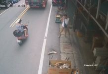 影／男路過拍打魚缸嚇到魚！魚「飛出摔地」魚鱗脫落流血　店家PO影片怒：很心疼