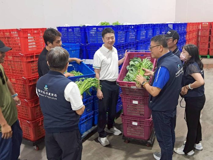 桃園啟動農業防颱應變機制 儲備95公噸蔬菜穩定市場供應