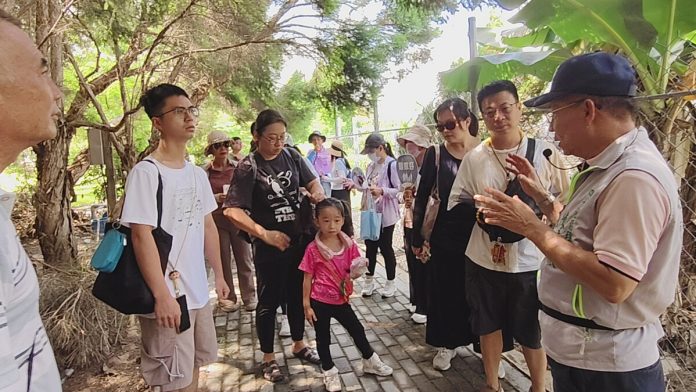 暑假放電去！永靖四芳小旅行野餐親子生態遊