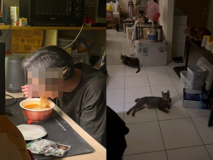 半夜男友突然消失！她開門驚見「三貓守門」 一轉頭：原來躲著偷做這檔事