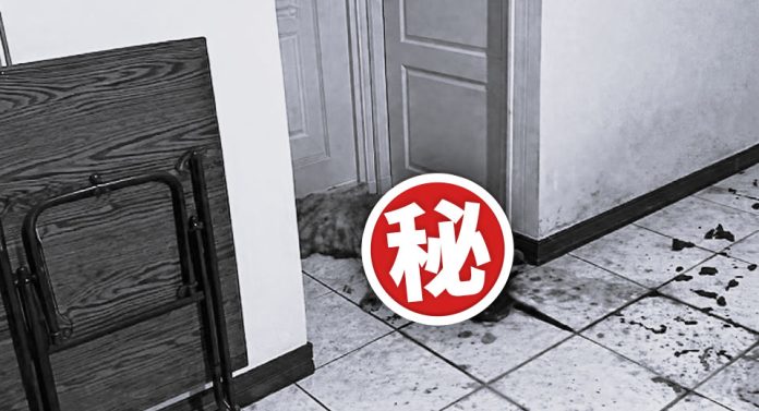 棄屋也棄養 隱蔽於動保法眼之外的「寵物命案現場」