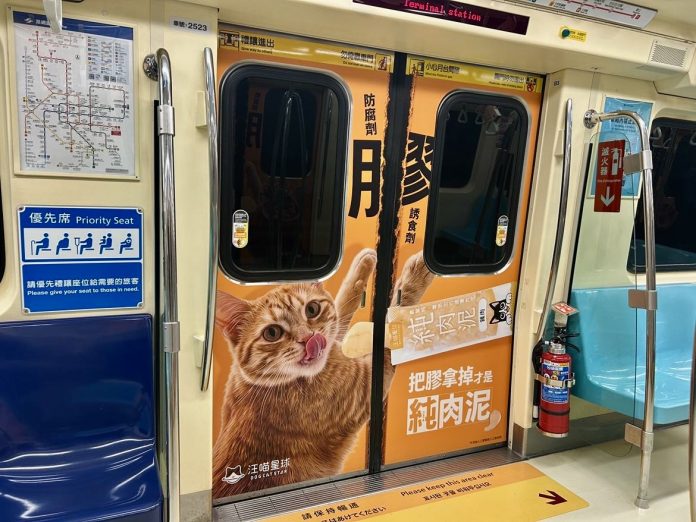 42%全球飼主拒人工添加物！毛孩飲食掀「成分透明」革命 汪喵星球純肉泥回歸原肉美味