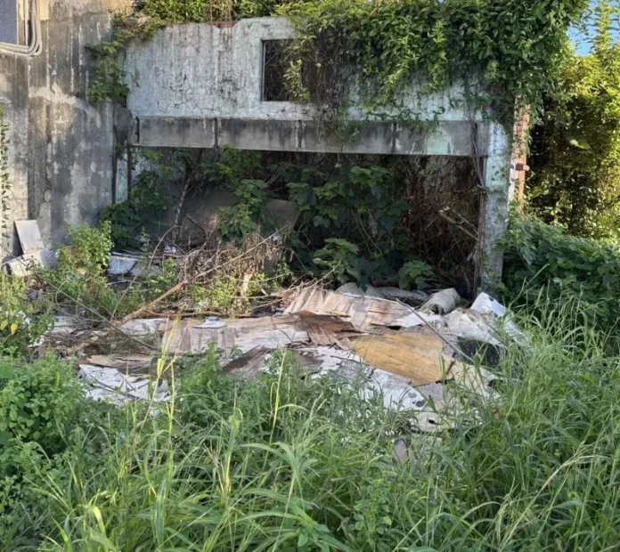 佳里荒屋雜草叢生藏病媒危機！查出竟是南部市府高官名下土地
