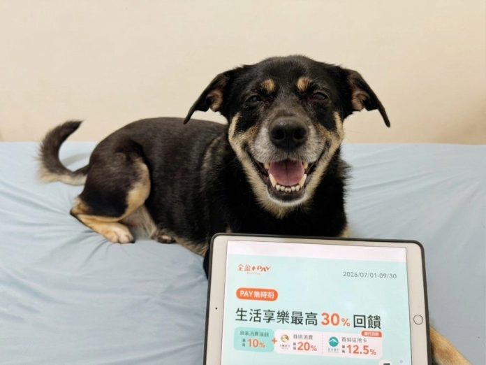當毛孩成為家人之後　真正被改變的，其實是整個消費文明