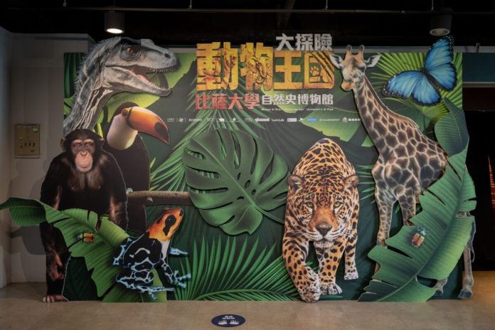 《動物王國大探險展》登場 走進六大生態、穿越史前世界