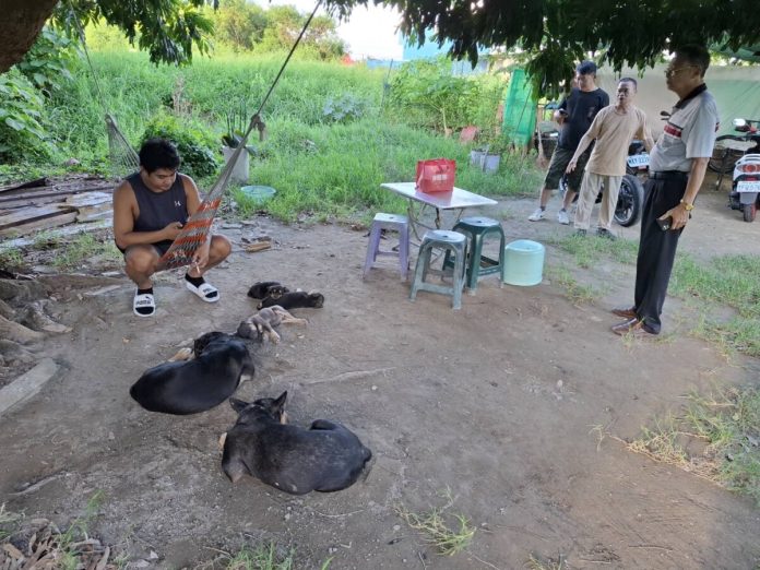 台南外籍移工殺狗食用？   動保處：現場無宰殺犬隻之明確證據