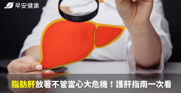 脂肪肝放著不管當心大危機！護肝指南一次看