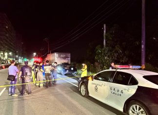 高雄大樹自小客詭異「忽快忽慢」自撞命喪台29線