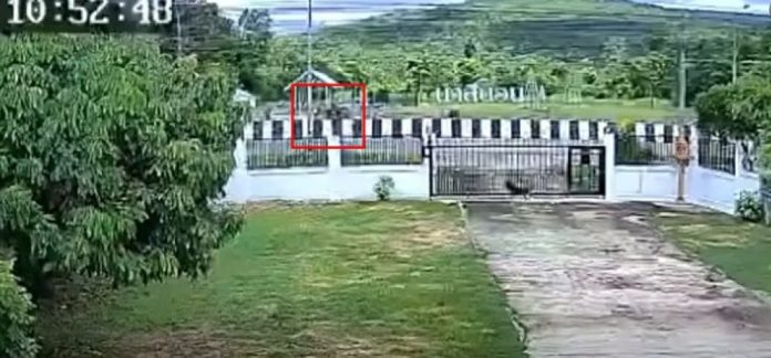 影／泰11歲童偷開車離家！失控迎面撞「整排苦行僧團」　慘釀8死撞擊影片瘋傳