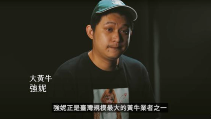 「全台最大黃牛」強妮娛樂負責人遭逮　50萬元交保