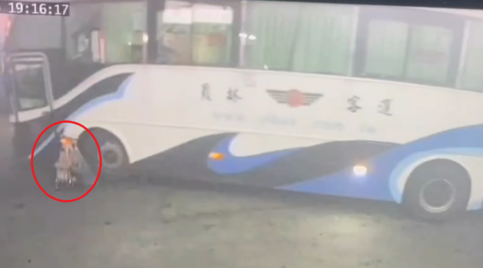 撞擊畫面曝光！員林客運總站內85歲婦被客運車撞倒　 骨盆及右大腿骨折