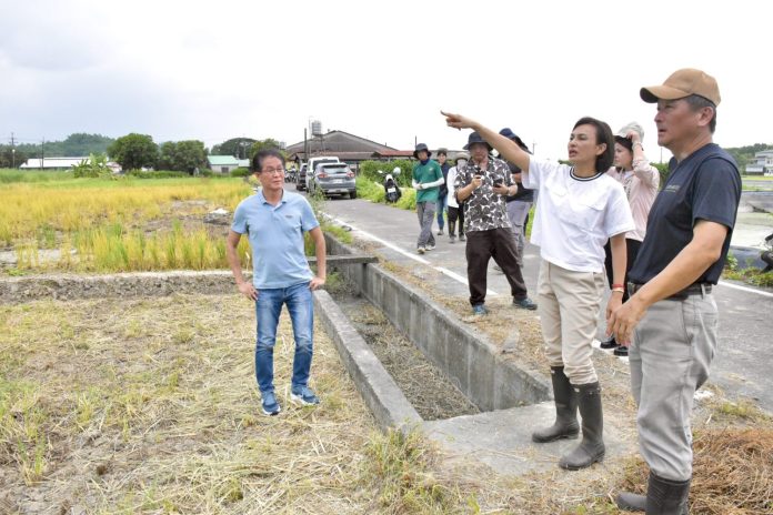 巴威颱風逼近！邱議瑩視察美濃「農地種水」提前築起防洪防線