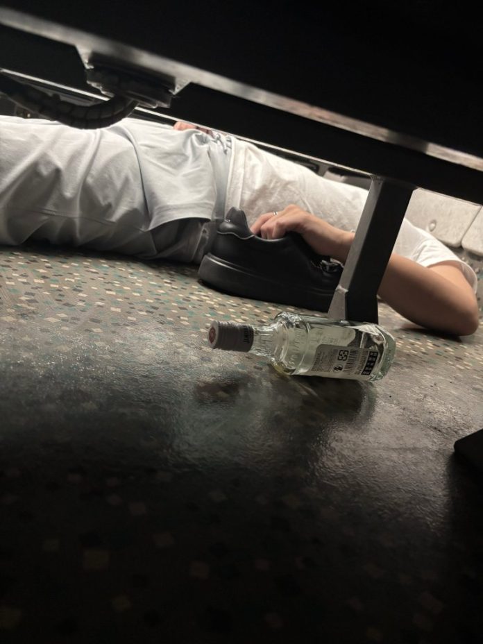 高鐵醉漢騷擾女客！大吼大叫踹椅子　鐵路警察保護管束