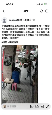 中壢改裝車行爆虐狗？黃金獵犬遭猛踹、棍抽影片流出 動保處帶回犬隻進行健檢調查