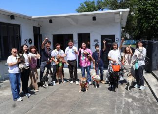 台灣狗狗節推友「善動物六大主張」 張峻:讓毛孩看得到醫生、找得到家
