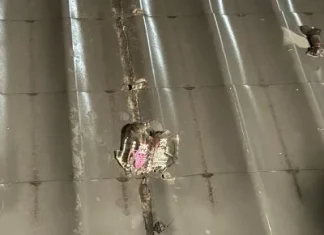 自製汽油彈鄰宅縱火! 中埔警迅速逮人 自製汽油彈鄰宅縱火! 中埔警迅速逮人