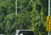 國道三寶!新化休息站出口匝道倒車 網友痛批:一定要檢舉這種垃圾 國道三寶!新化休息站出口匝道倒車 網友痛批:一定要檢舉這種垃圾